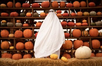 someone dressed up as a ghost with pumpkins on the back